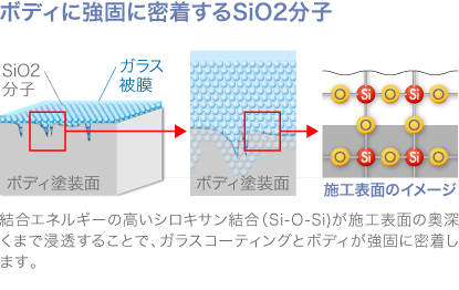product3_img2.png