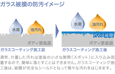 product4_img1.png