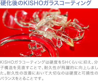 product5_img1.png