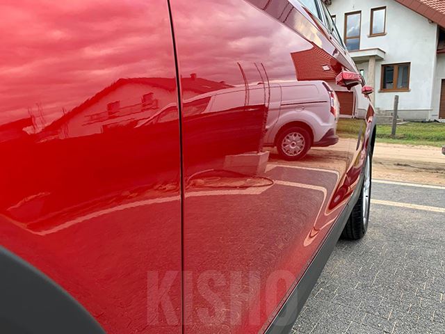 product-1-1 Ceramic Coating Damage Car Paint2