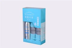 X-01 Paint glass coating